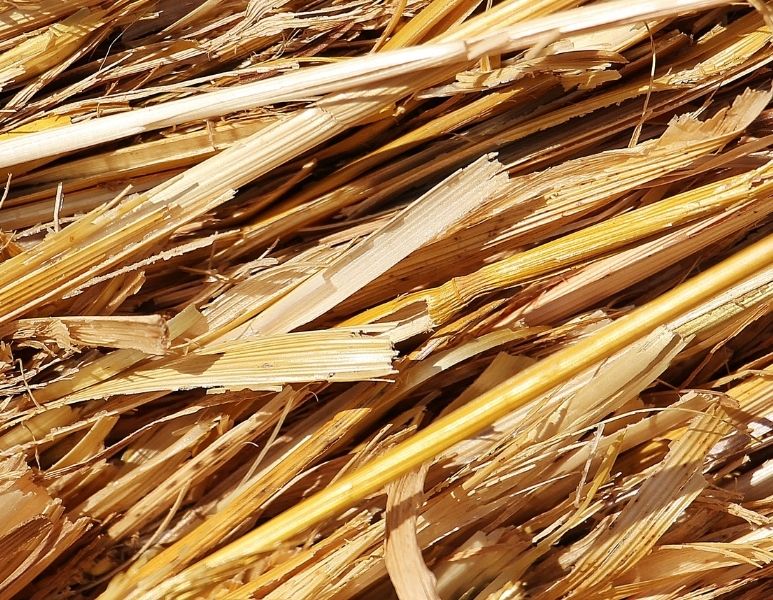 Détail paille brute couleur jaune marron clair